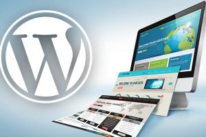 Macam-macam Fungsi WordPress